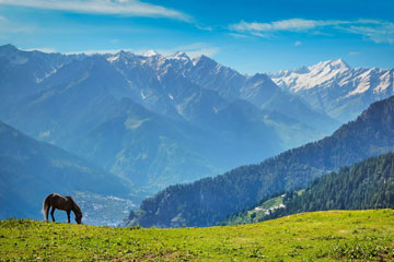 Jalandhar Dalhousie Dharamsala Tour