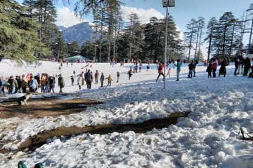 Jalandhar - Patnitop